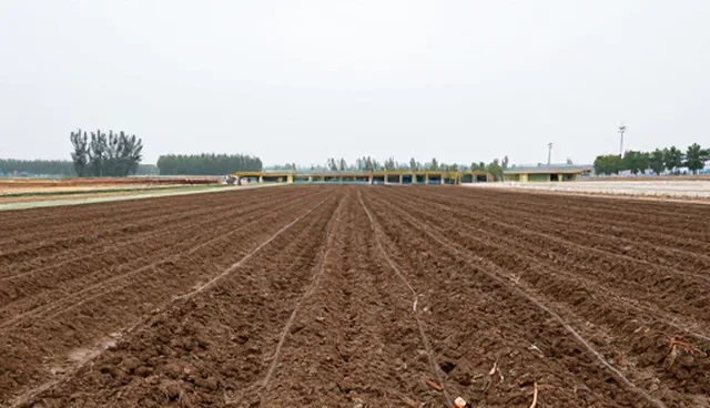 优化营养供给提升种植效率的实践路径